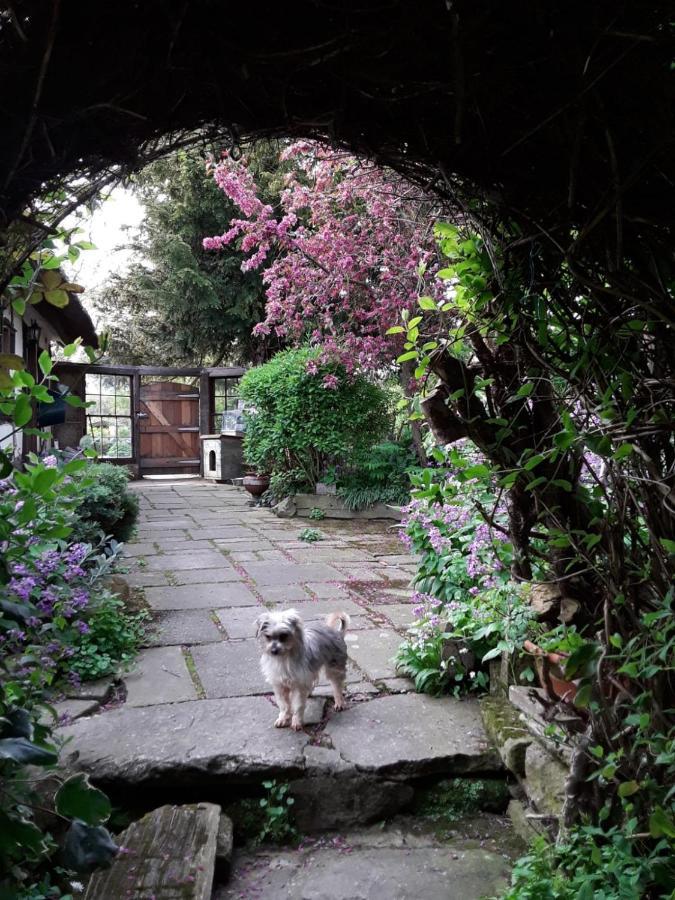 Parrs Cottage Wollaston  外观 照片